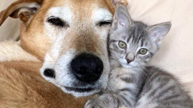 Лучшее лекарство