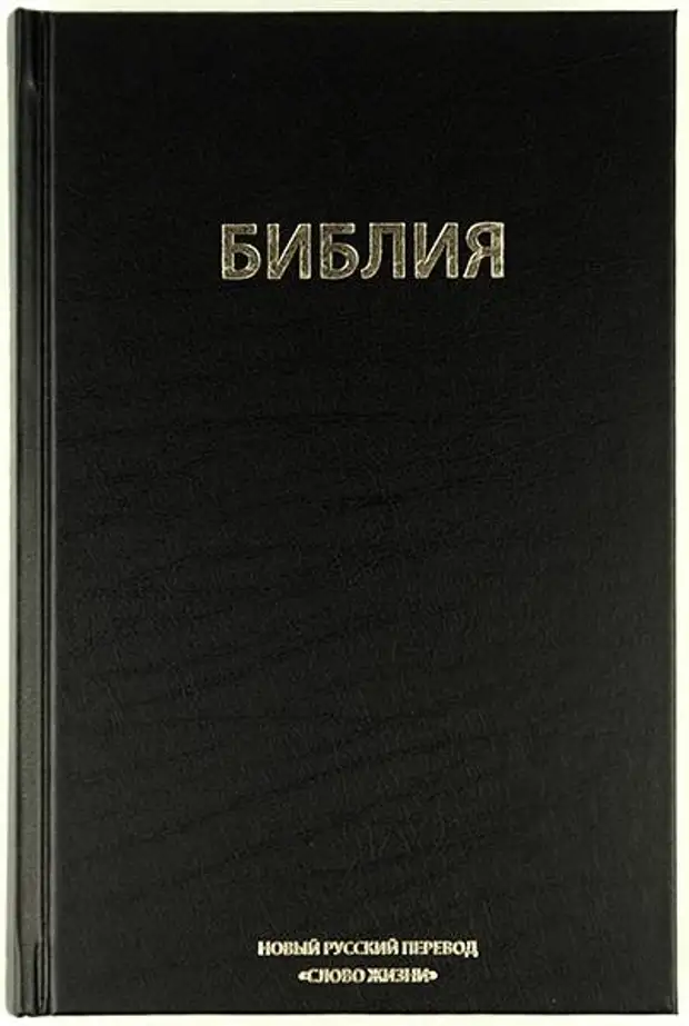 Библия Новый Перевод Купить Книгу