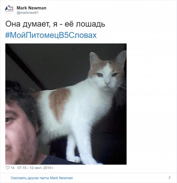 Флешмоб «Мой питомец в пяти словах» Флешмоб «Мой питомец в пяти словах»