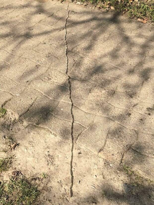 Bigpicture ru без названия 2022 10 10t092206.468