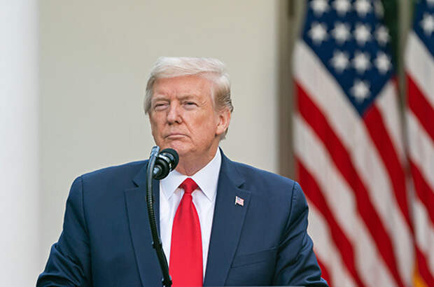 Трамп заявил, что выиграл выборы