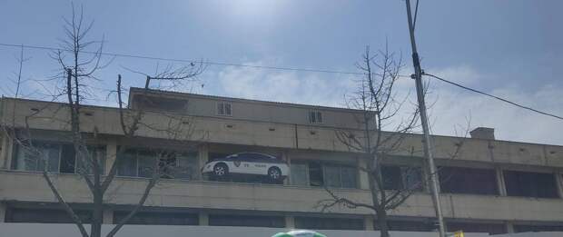 Подборка прикольных картинок