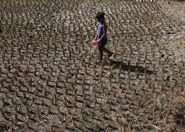 Синоптик Леус: грядущий феномен Эль-Ниньо будет сильнейшим за последние 10 лет
