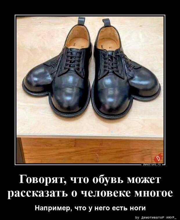 Демотиваторы-приколы: "А мне собаку подарили…" (16 фото)