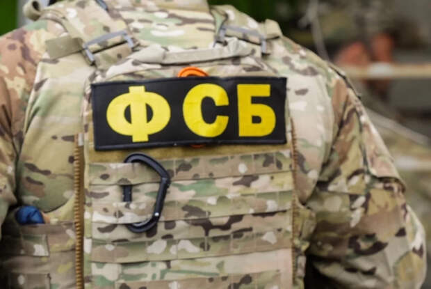 В РФ перекрыли сотню каналов, используемых Киевом для вовлечения в диверсии