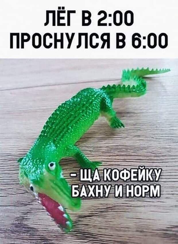 Ежедневные фото-приколы и картинки (31 шт)