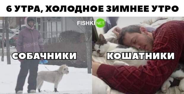 6 утра... Собачники и кошатники 6 утра... Собачники и кошатники