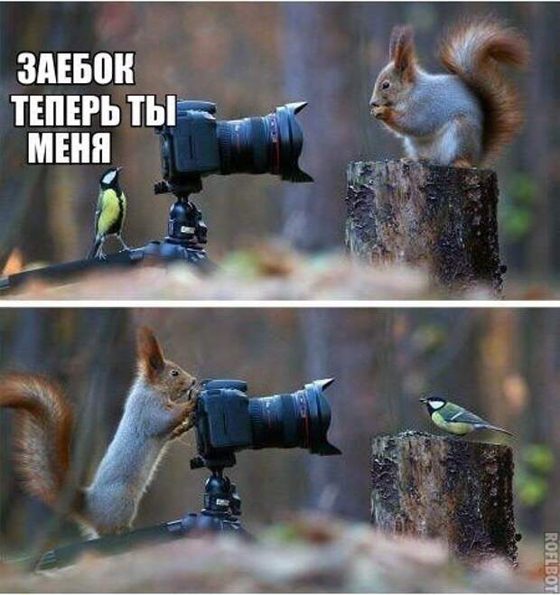 Прикольные фотомемы на Бугаге (21 шт)