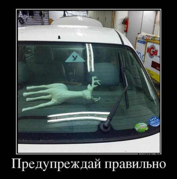 1476343671_demotivatory-9