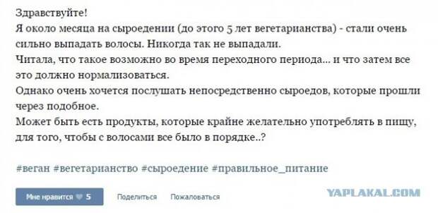 Ну и немножко подтверждающих фактов.  веганы, веганы и мясоеды, мифы, мясо