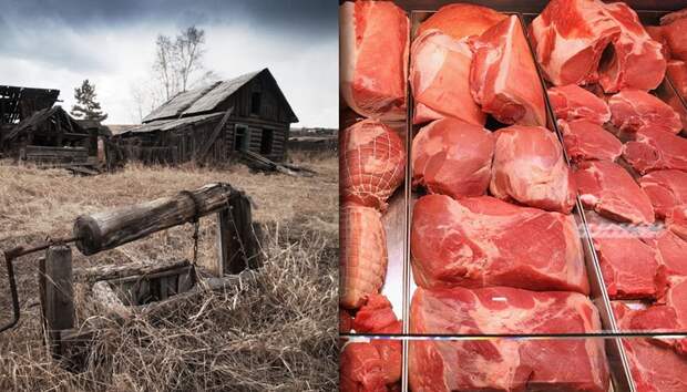 Объясняю, почему при заросших полях в России полно мяса на прилавках