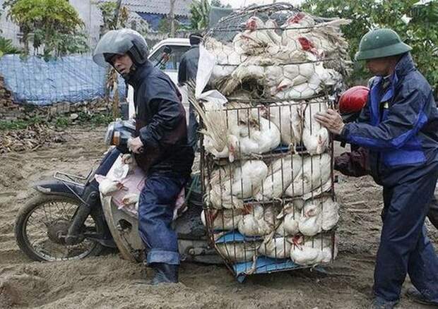 Чудные люди на дорогах (35 фото) Чудные люди на дорогах (35 фото)