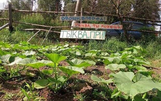 Мотивируйте себя правильно