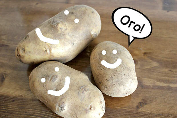 5potato5.jpg