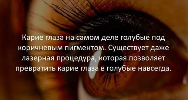 Занимательные факты Занимательные факты интересно, любопытно, факты