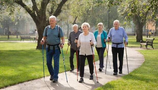 С палками - к здоровью! Почему скандинавская ходьба - лучший спорт для нас