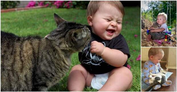 21 очаровательная фотография малышей в компании котов кот, малыш, очарование