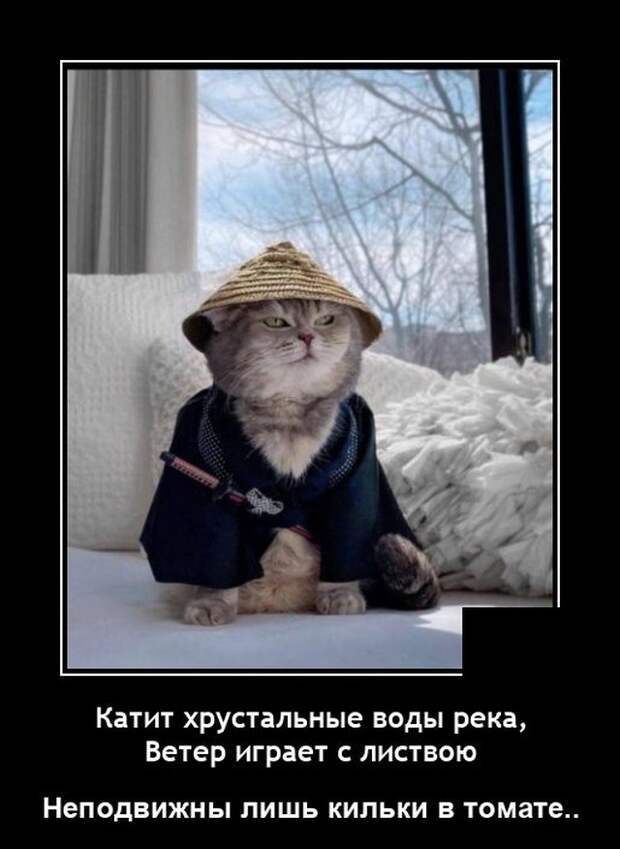 Демотиваторы 19 мая 2021
