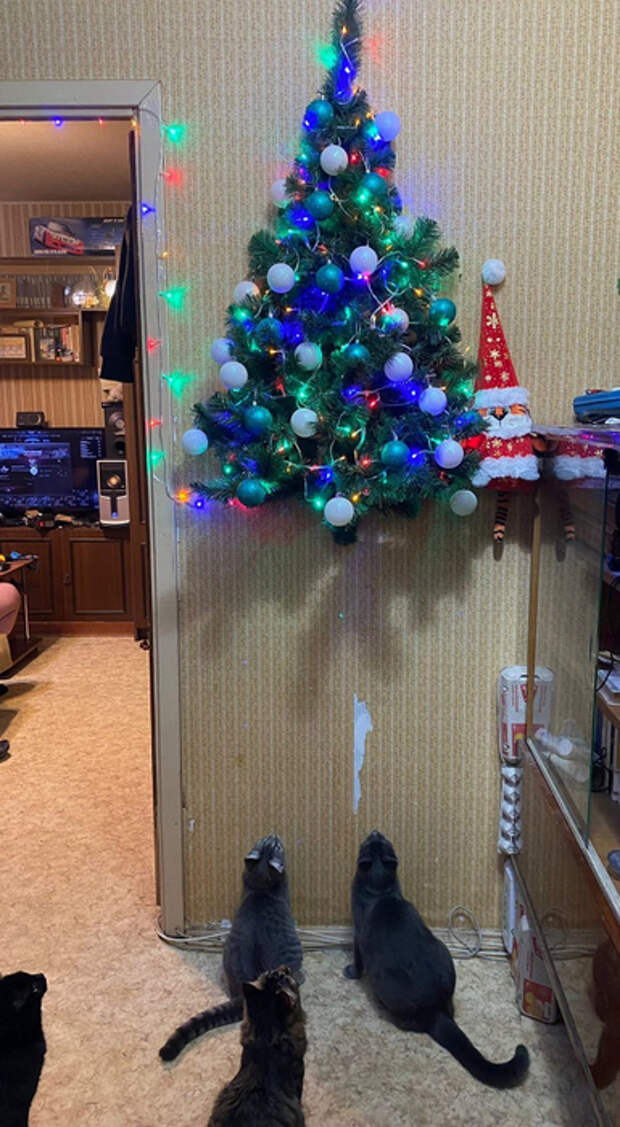 55751090_original (385x700, 347Kb)