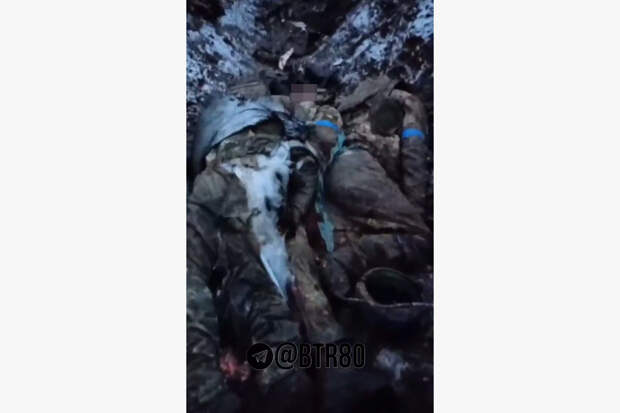 Появилось видео из зоны СВО с последствиями отказа ВСУ сдаться