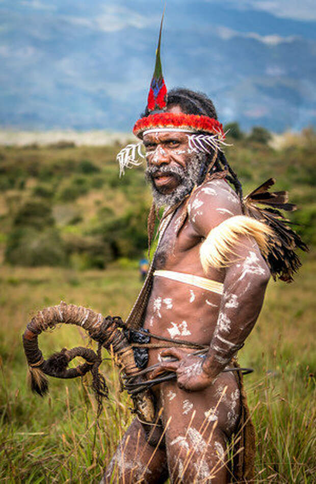 Воин племени дани, покрытый боевой раскраской. Западная Новая Гвинея, Индонезия, август 2016 г.