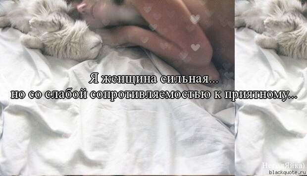 ПРИКОЛЬНЫЕ ВЫРАЖЕНИЯ И ФРАЗЫ ПРИКОЛЬНЫЕ ВЫРАЖЕНИЯ И ФРАЗЫ