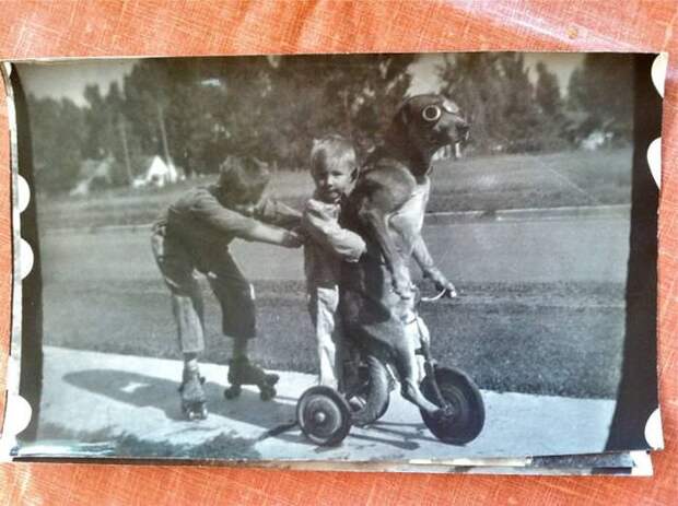 Прикольные картинки абавсём:D (12.08.16)