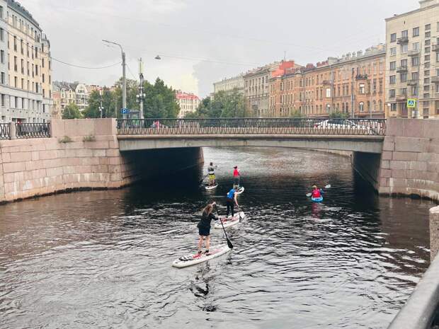 После несчастных случаев в Петербурге создадут закон о сапах