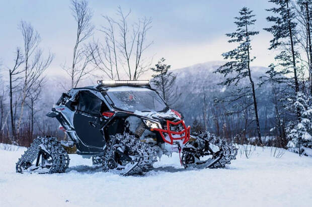 1273fa1f03d24bffaf79cc39fbe61580_article (700x466, 340Kb)