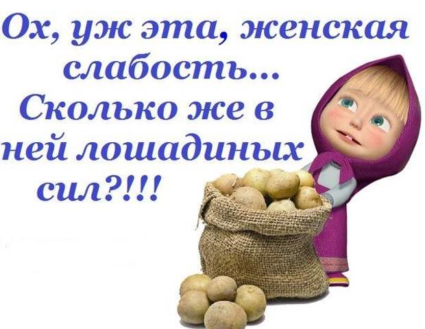 Веселые картинки с надписями для поднятия настроения (12 фото) Веселые картинки с надписями для поднятия настроения (12 фото)