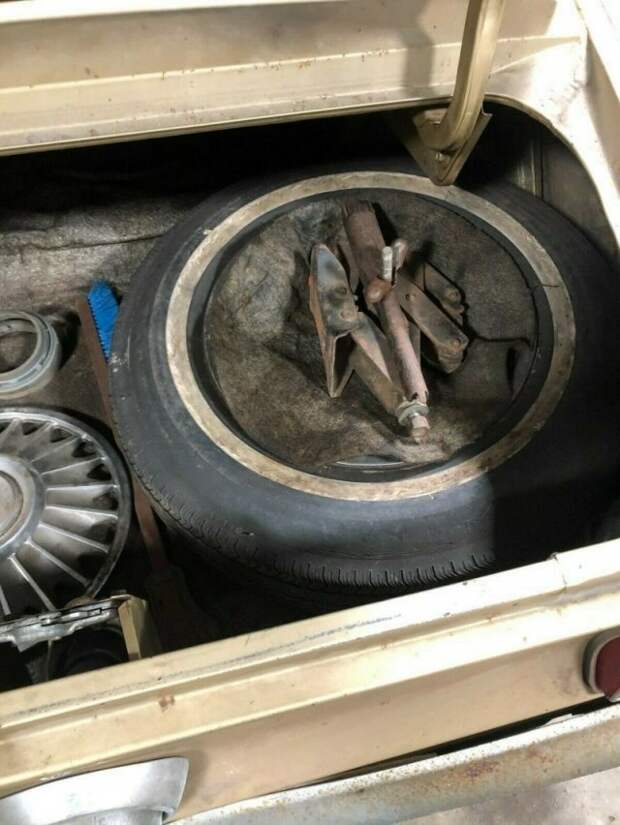 Ford Mustang 1969 года, который простоял 40 лет без движения