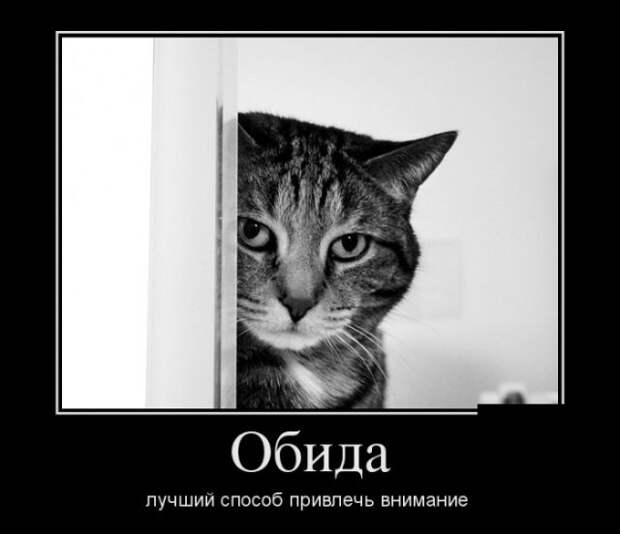 Демотиваторы (30 фото)
