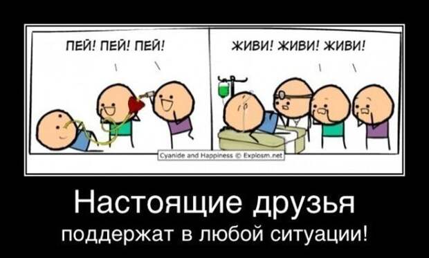 Демотиваторы (30 фото)