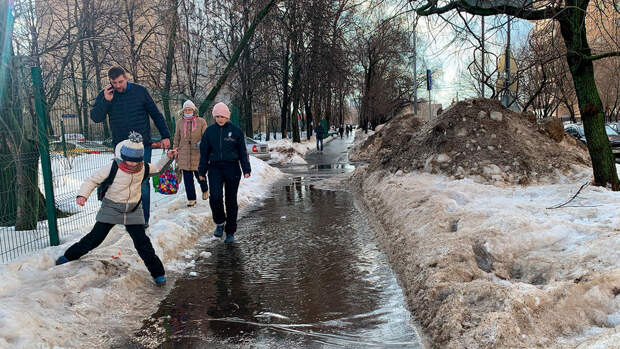 Синоптик Тишковец: весна в Москве начнется с оттепели и дождей, потеплеет до +4