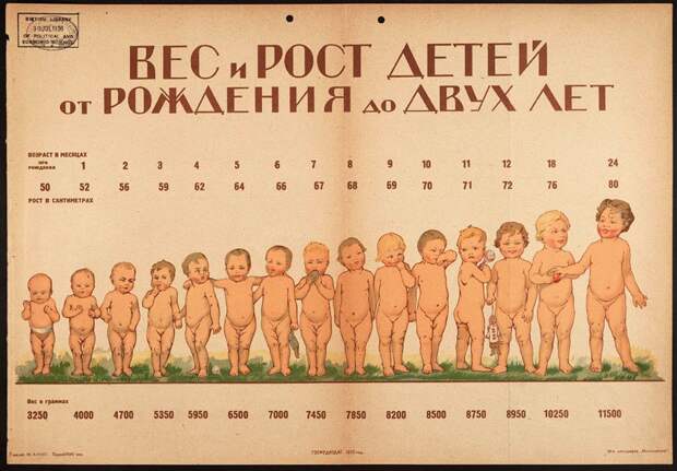 Если бы не было войны...