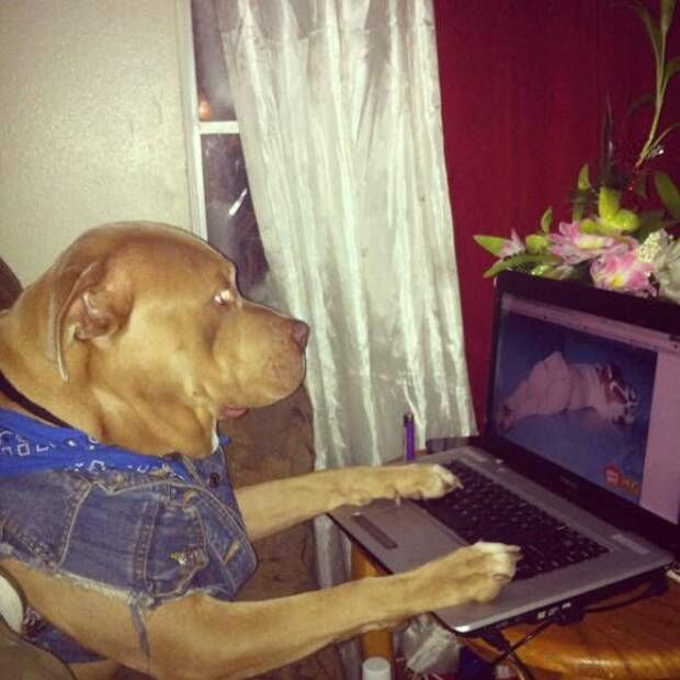 Прикольные картинки абавсём:D (12.08.16)