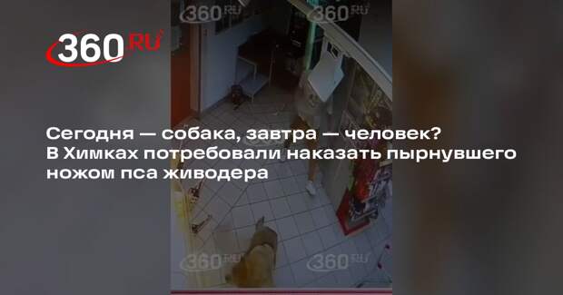 В Химках задержали мужчину, ранившего ножом собаку в магазине