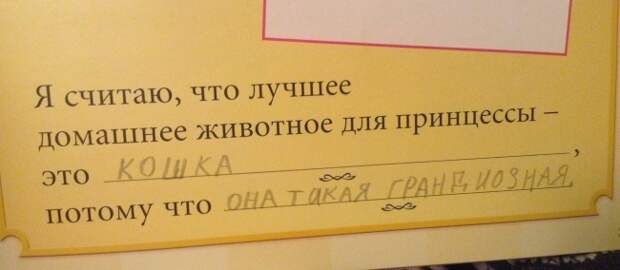 Неожиданные признаний, которые скрывают девичьи дневники дневник, юмор, выдержки, девочки, длиннопост, adme