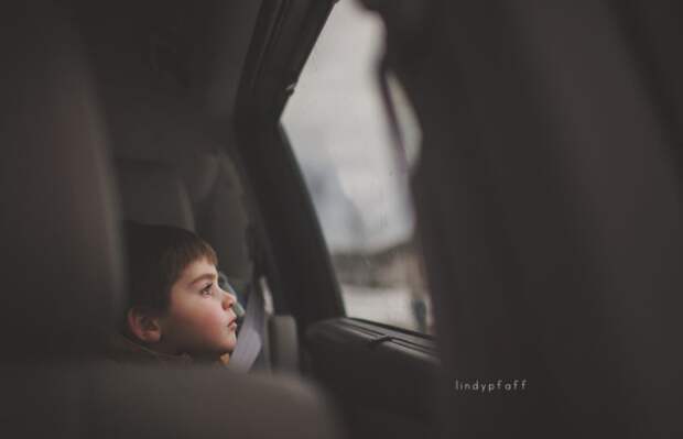 Красивые снимки от Lindy Pfaff
