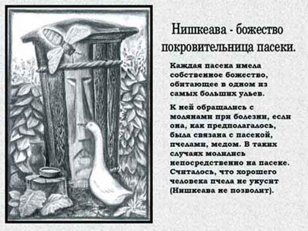Национальный характер мордвы