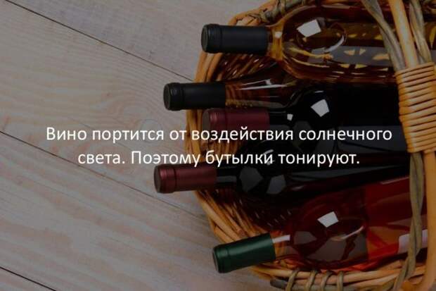 Интересные факты для любознательных
