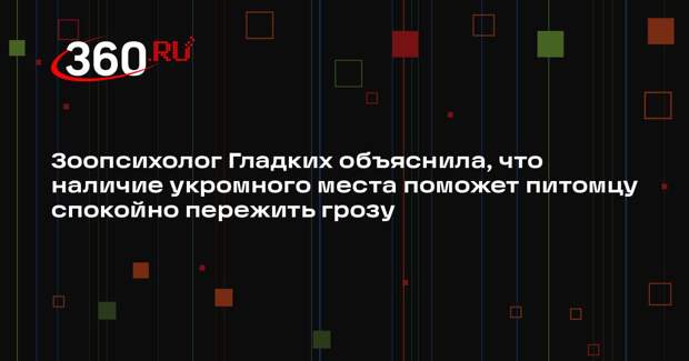 Зоопсихолог Гладких объяснила, что наличие укромного места поможет питомцу спокойно пережить грозу