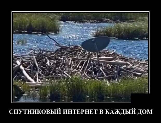 demotivatory-demotivator-smeshnye-demotivatory-demotivator-so-smyslom