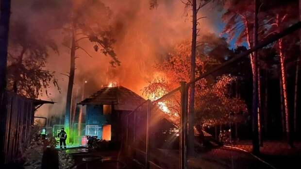 Пожар в новосибирском зоопарке / Фото: прокуратура Новосибирской области