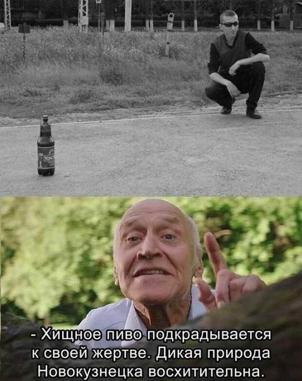 Ржачные свежие картинки с надписями (среда)