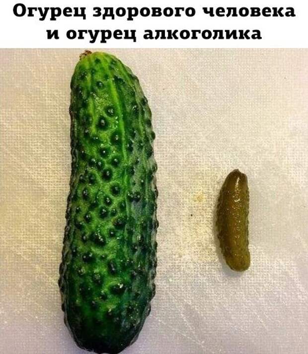 Свежие картинки с надписями для настроения (10 фото) Свежие картинки с надписями для настроения (10 фото)