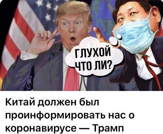 Политические комментарии из инета
