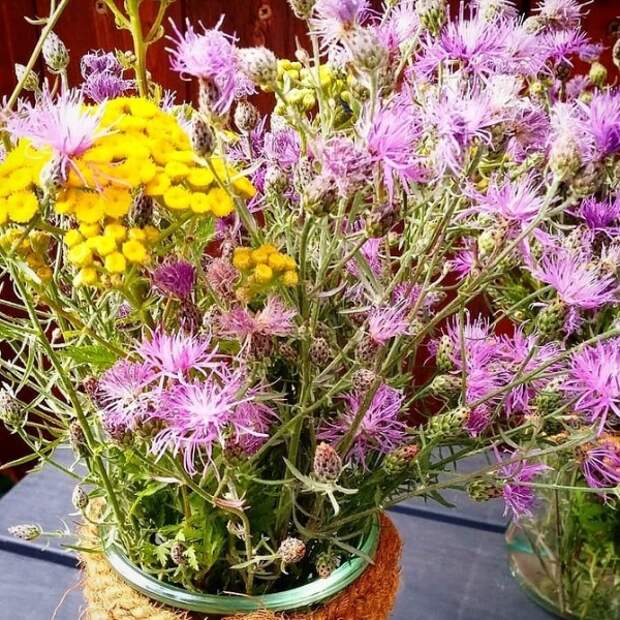 8 способов украсить сад осенью, когда все завяло и опало 8 способов украсить сад осенью, когда все завяло и опало