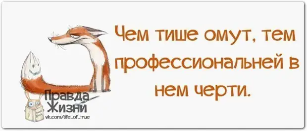 Чем тише омут тем практичнее черти. Статусы про хитрость. Цитаты про хитрость лисы. Цитаты с лисой со смыслом. Цитаты с лисами со смыслом.