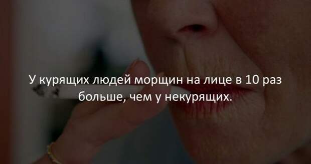 Интересные факты (40 картинок)